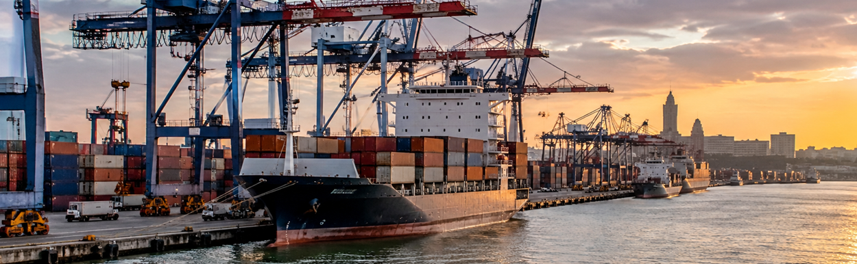 porte container a quai 