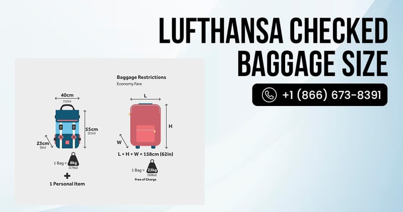 How Much Is Checked Baggage on Lufthansa for Economy, Premium Economy, and Business Class?