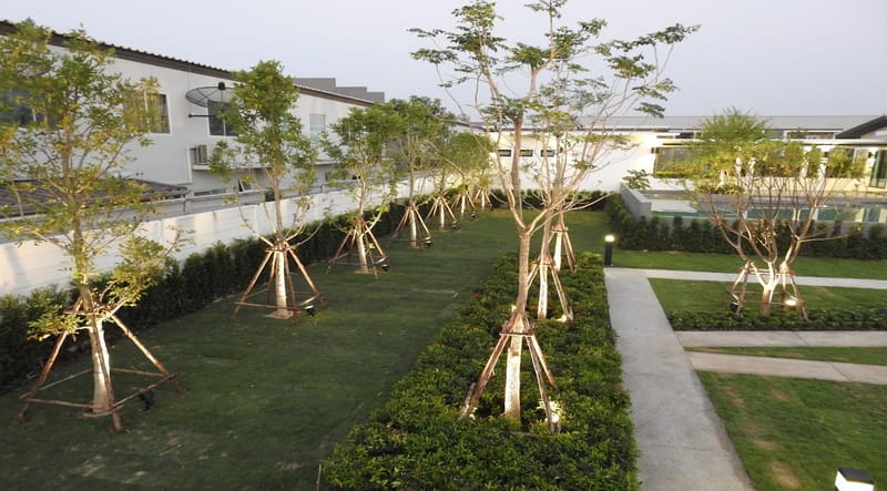 Hard Scape (Rangsit-Ratchaphruek)