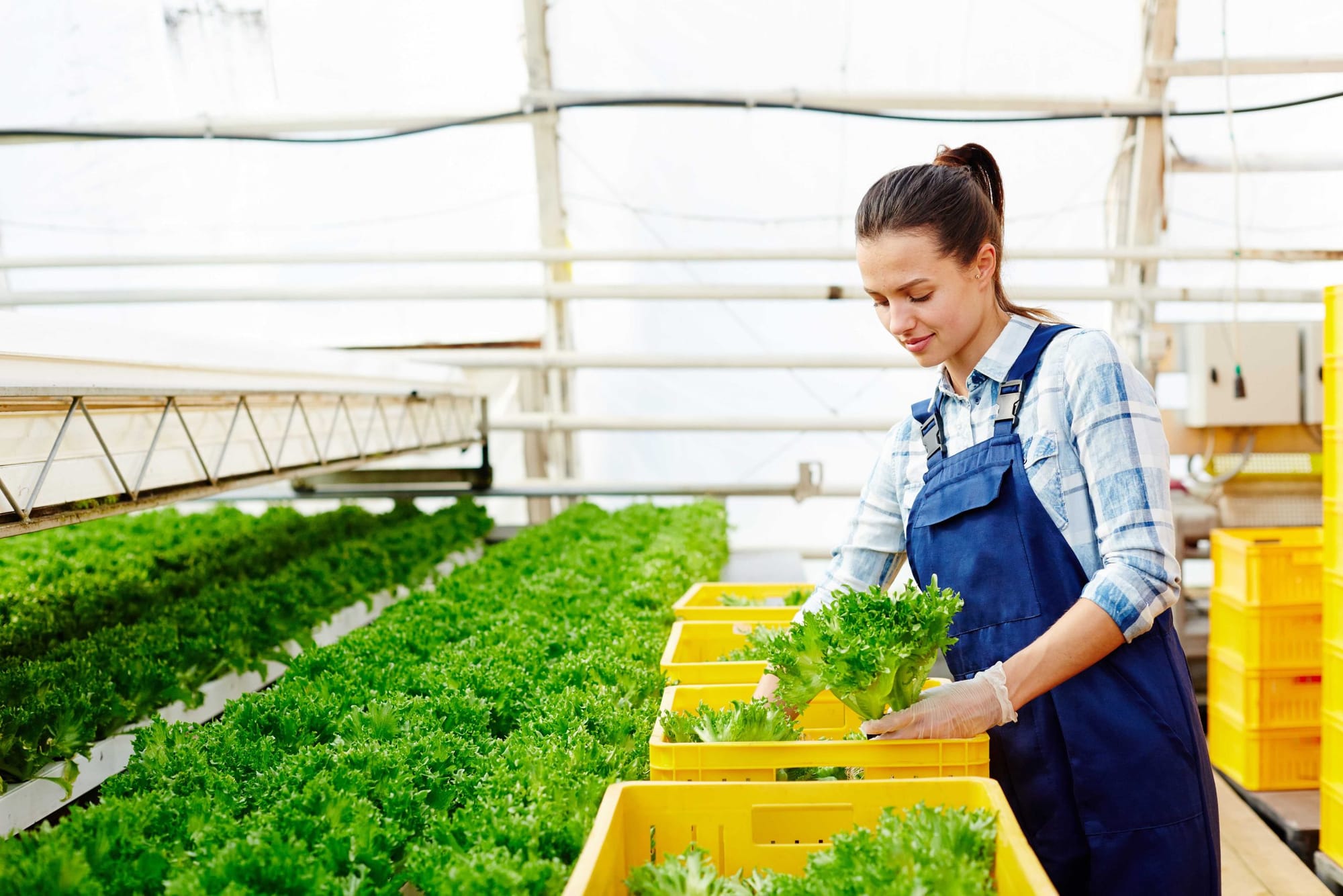 MIPYMES y empresas del sector agro podrán acceder a fondos de hasta $20 mil para sus proyectos