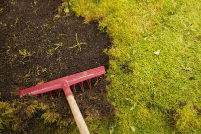 Grass Removal Services In Las Vegas To Comply With The Water District Conservation Plan