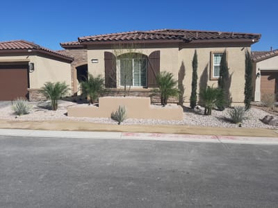 The Importance of Choosing the Right Plants for Desert Landscaping