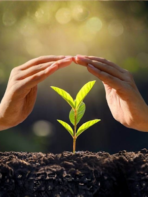 Uncover about the Best Climate Change Organization