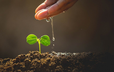 Unveil about the Amazing Sustainable Water Management