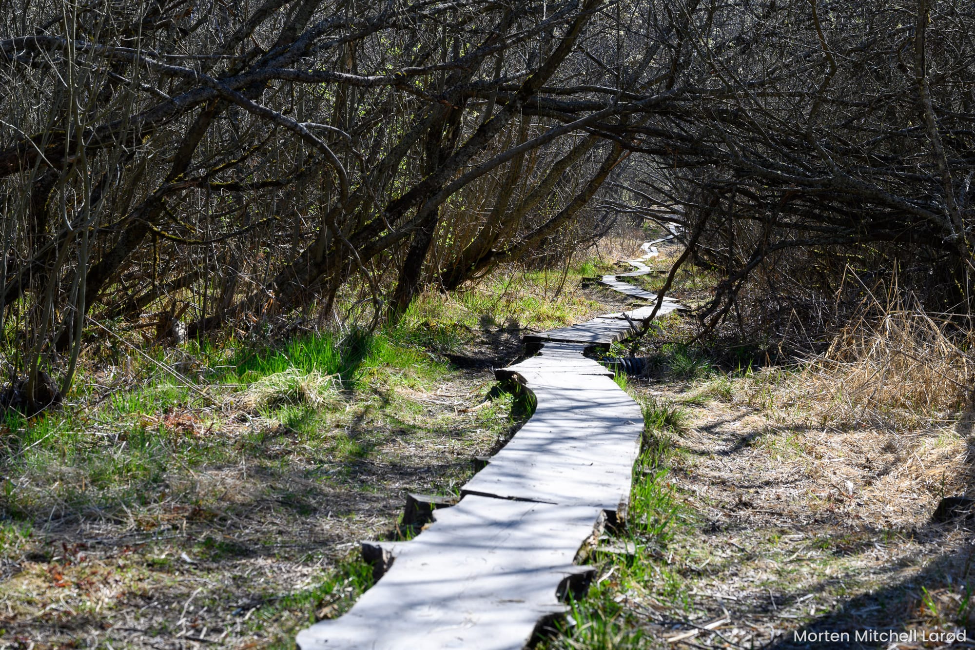 Rustad ved Østensjøvannet