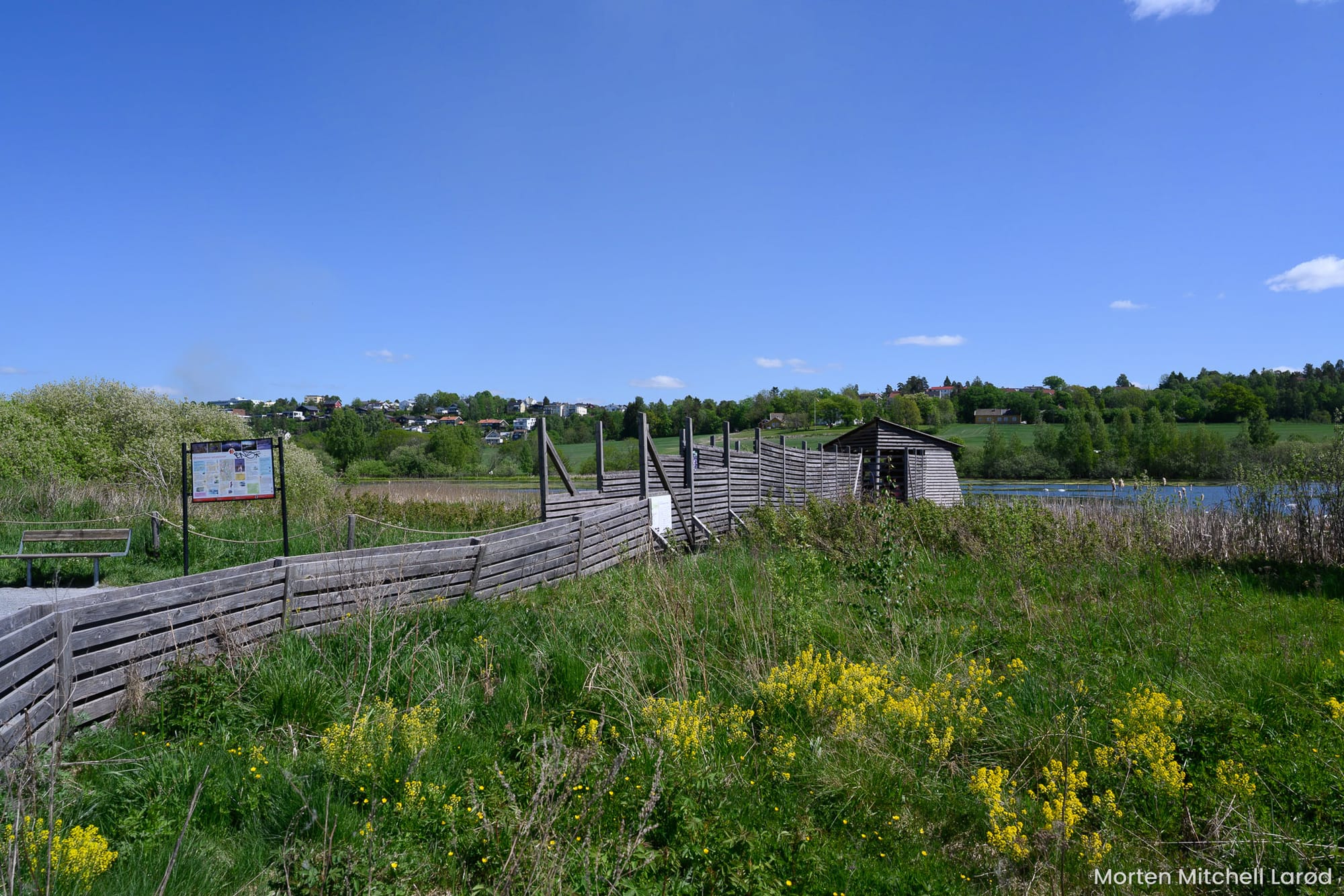 Fugletitting ved Østensjøvannet