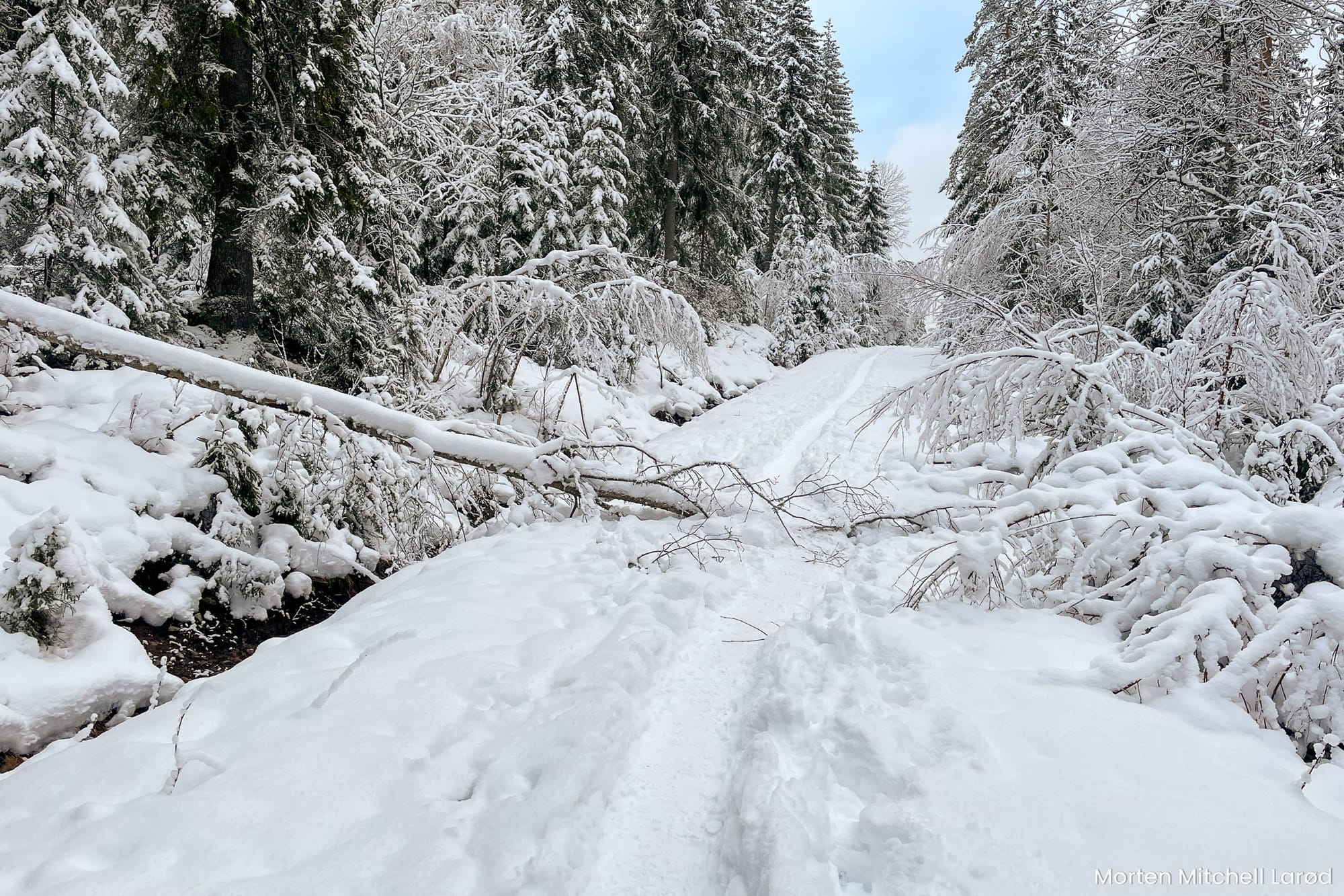 Veien til Østmarkskapellet fra Rundvann