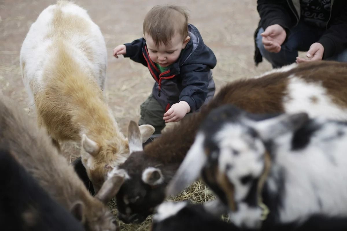 The City Is Not Only Adults’ Reality, and Kindergarten Is Not Only Children’s Reality