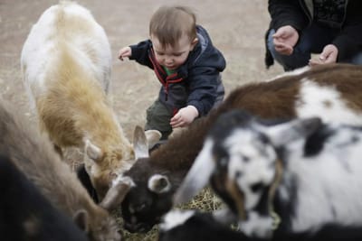 The City Is Not Only Adults’ Reality, and Kindergarten Is Not Only Children’s Reality