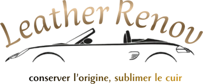 Leather Renov