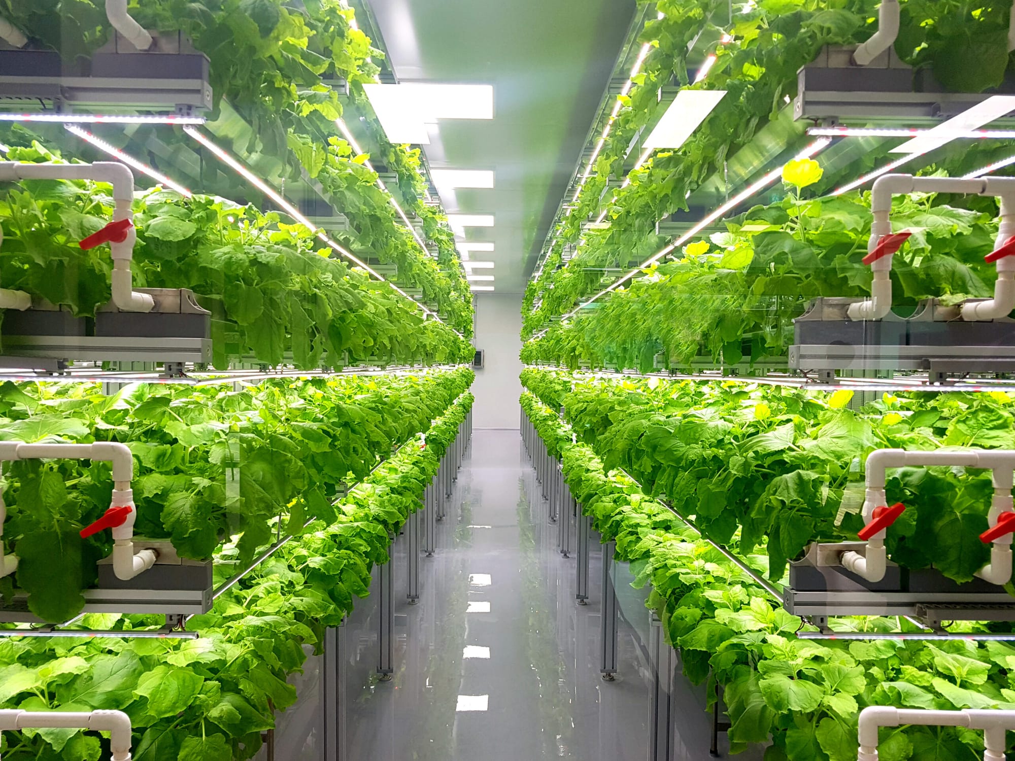 The Third Pillar of Security: Why Food Belongs Beside Energy and Defence in Danish Strategy