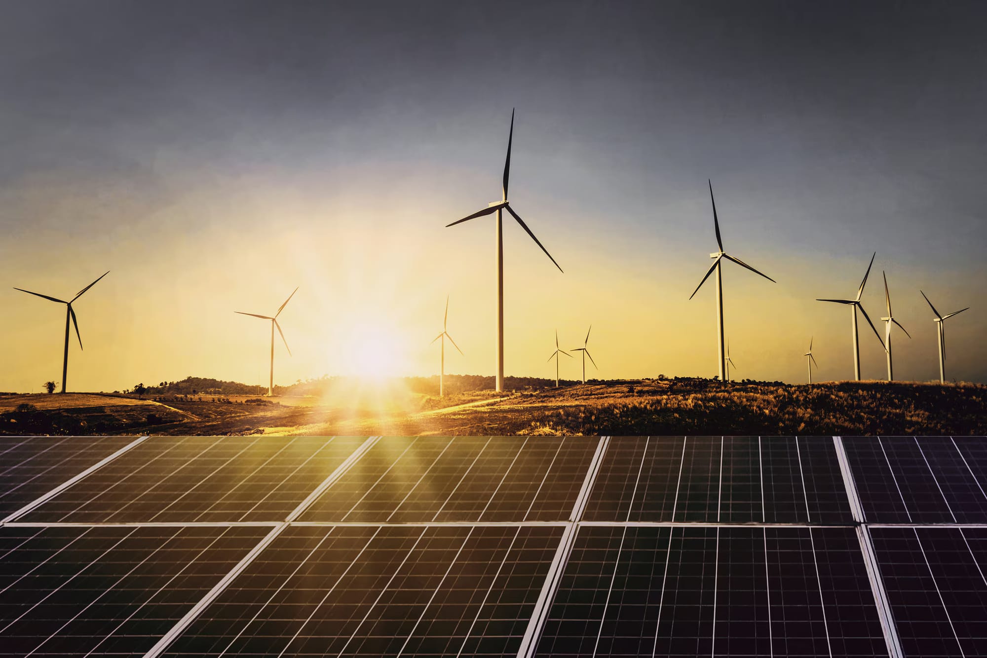 Green Kingdom or Green Mirage? Denmark’s Bid to Lead the Renewable Future