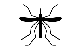ZANZARE