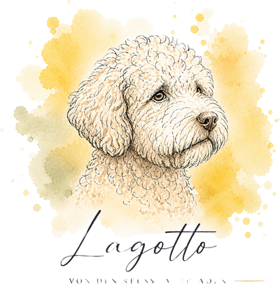 Lagotto von den Reusswaldpfaden