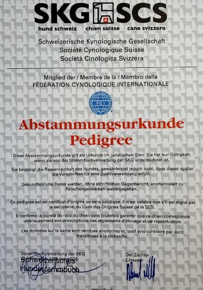 Abstammungsurkunde und Zertifikate Schweizerische Kynologische Gesellschaft SKG