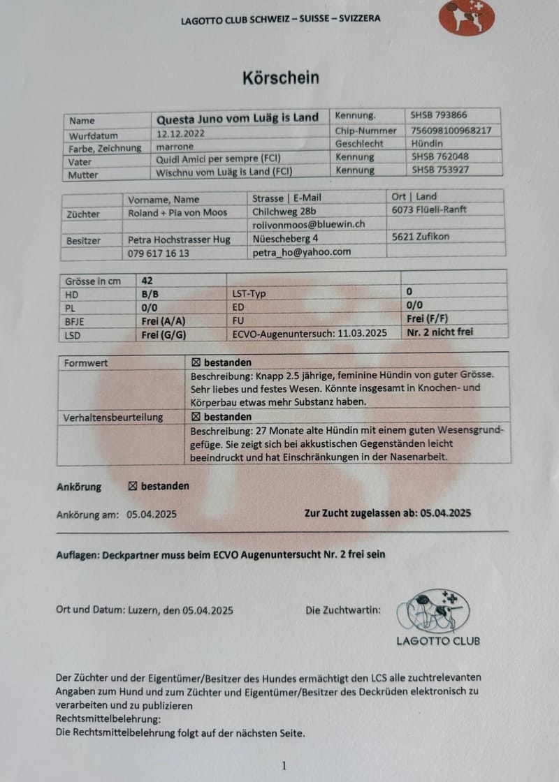 Unterlagen Ankören und Gesundheitsdokumente