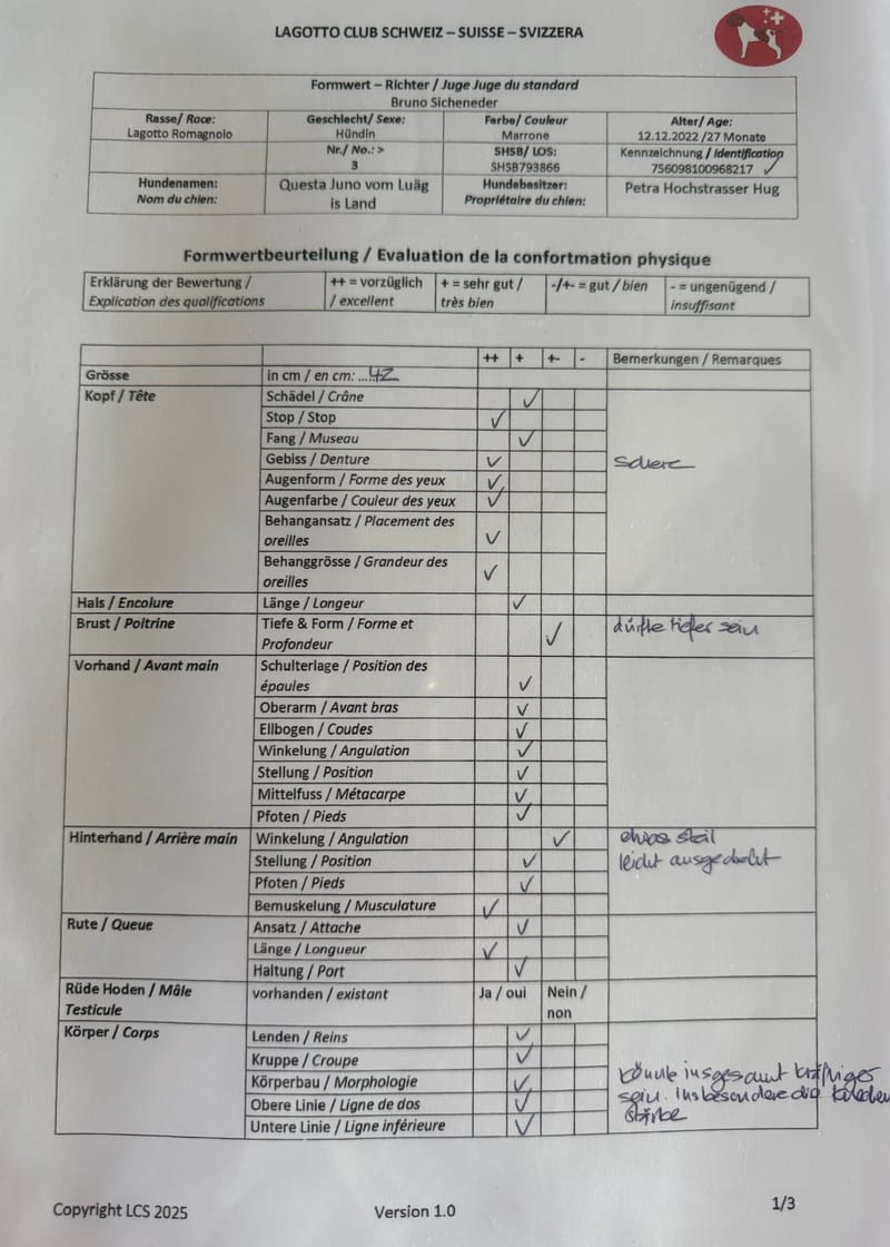 Unterlagen Ankören und Gesundheitsdokumente