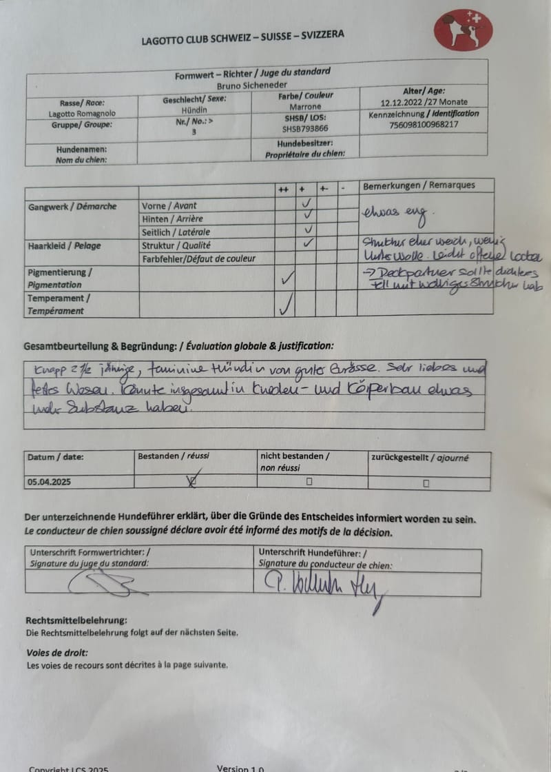 Unterlagen Ankören und Gesundheitsdokumente