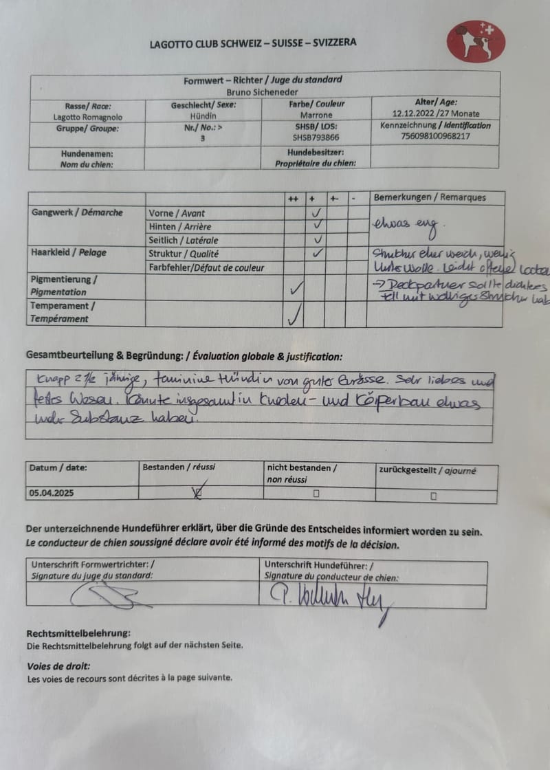 Unterlagen Ankören und Gesundheitsdokumente