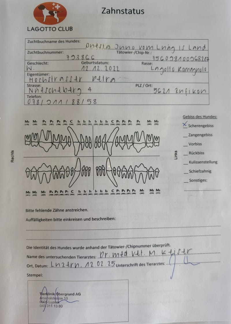 Unterlagen Ankören und Gesundheitsdokumente