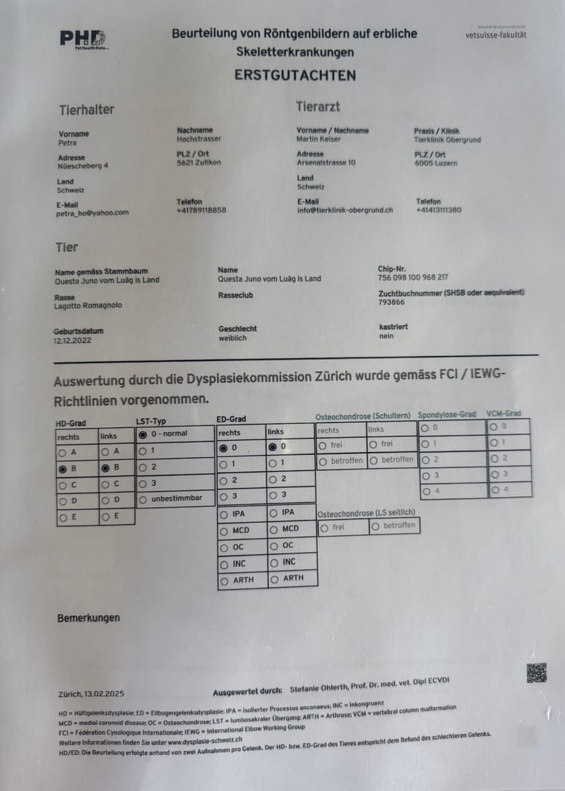 Unterlagen Ankören und Gesundheitsdokumente
