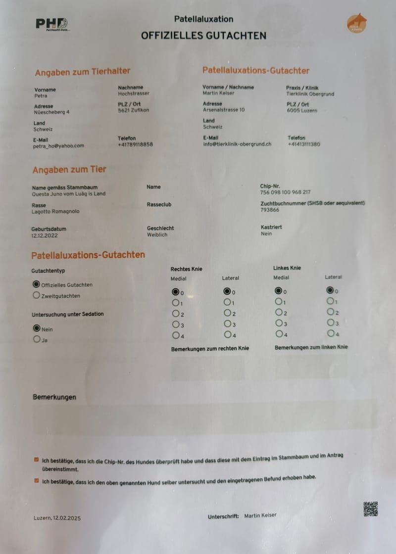 Unterlagen Ankören und Gesundheitsdokumente