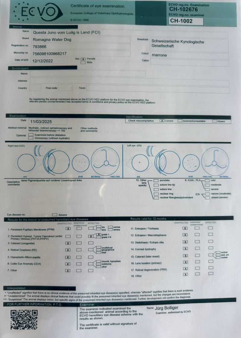 Unterlagen Ankören und Gesundheitsdokumente