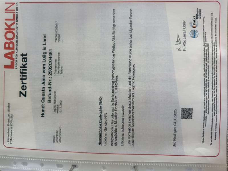 Unterlagen Ankören und Gesundheitsdokumente