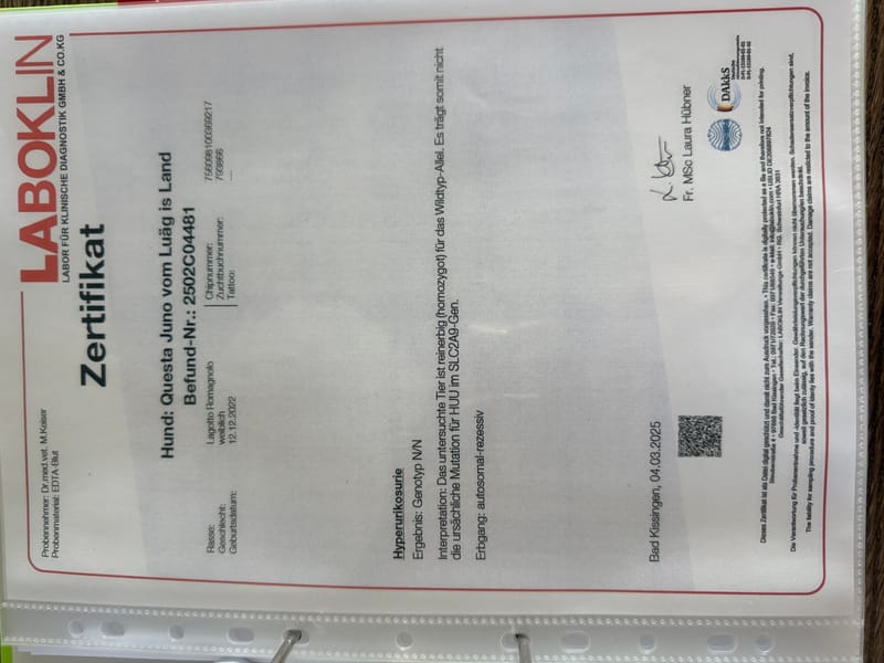 Unterlagen Ankören und Gesundheitsdokumente