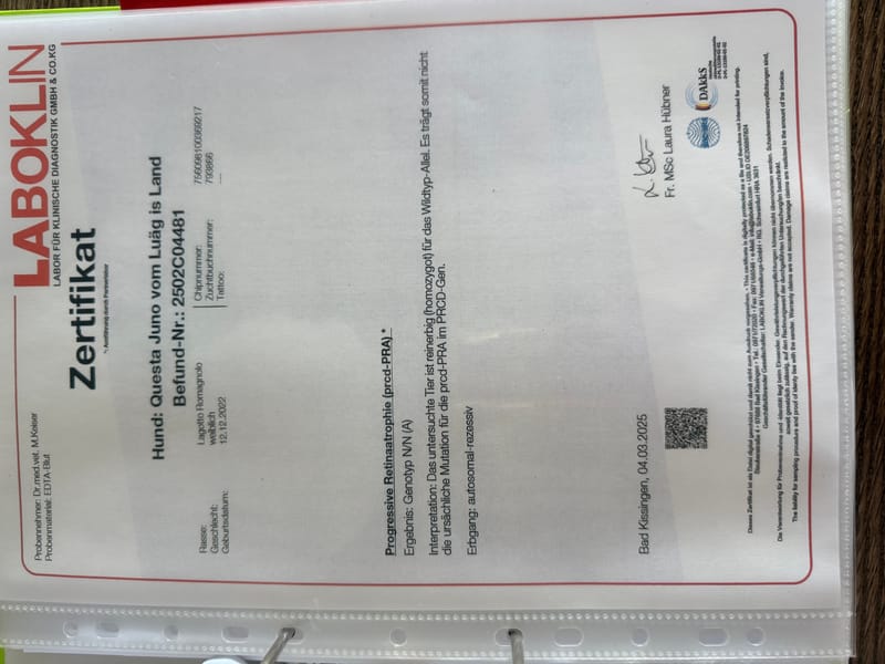 Unterlagen Ankören und Gesundheitsdokumente