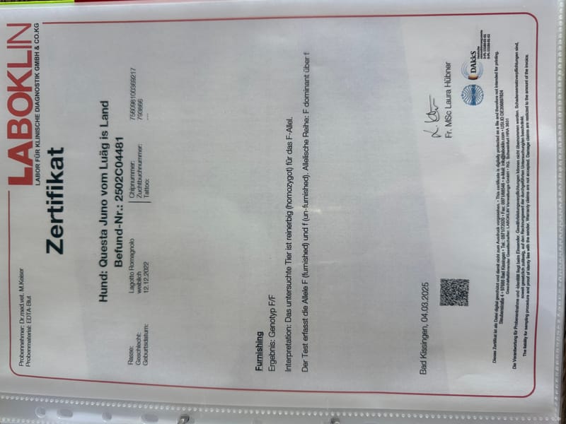 Unterlagen Ankören und Gesundheitsdokumente