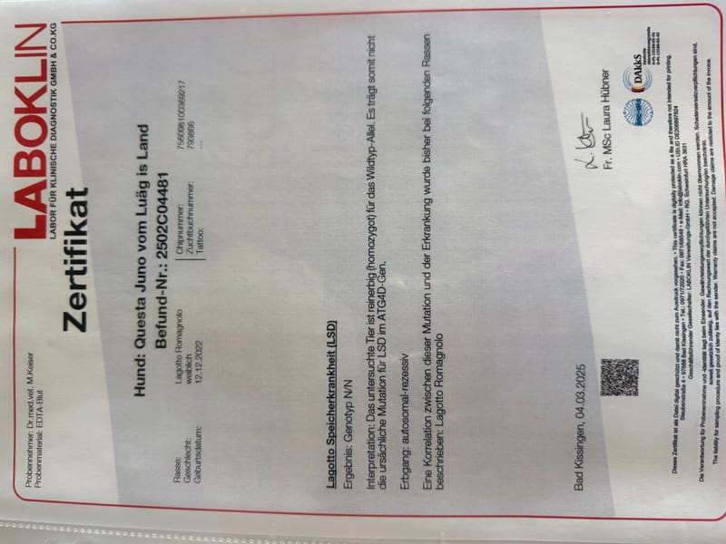 Unterlagen Ankören und Gesundheitsdokumente