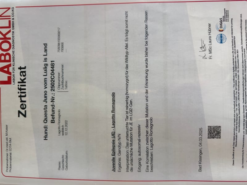 Unterlagen Ankören und Gesundheitsdokumente