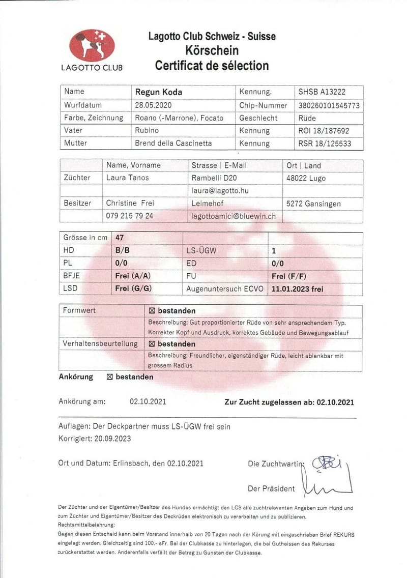 Unterlagen Ankören und Gesundheitsdokumente