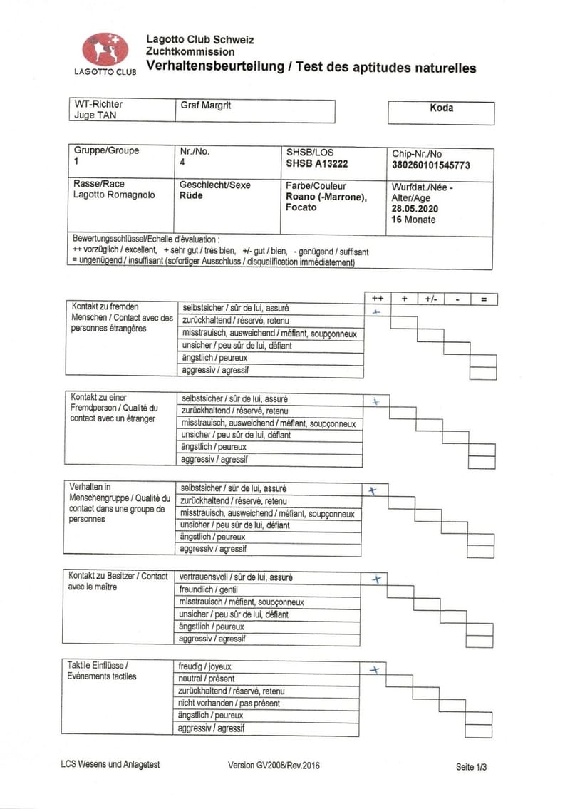 Unterlagen Ankören und Gesundheitsdokumente