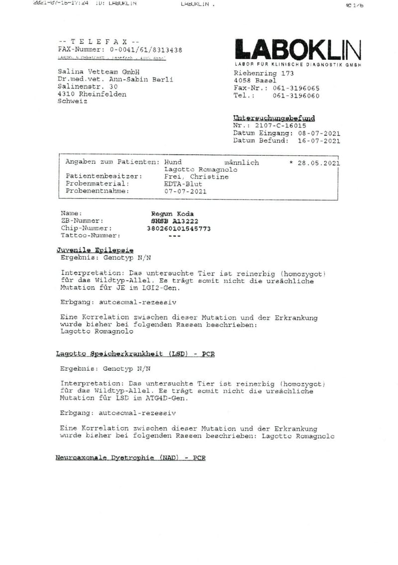 Unterlagen Ankören und Gesundheitsdokumente