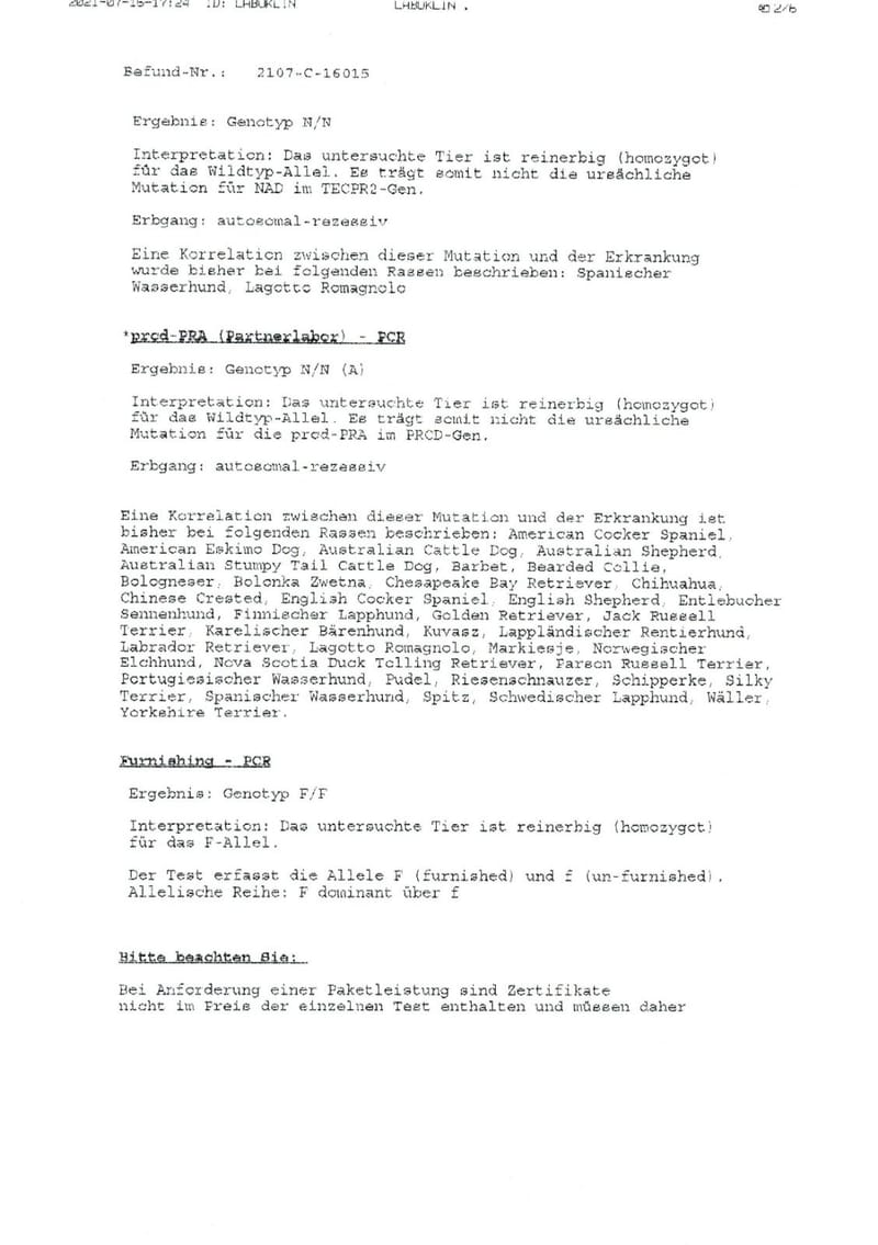 Unterlagen Ankören und Gesundheitsdokumente