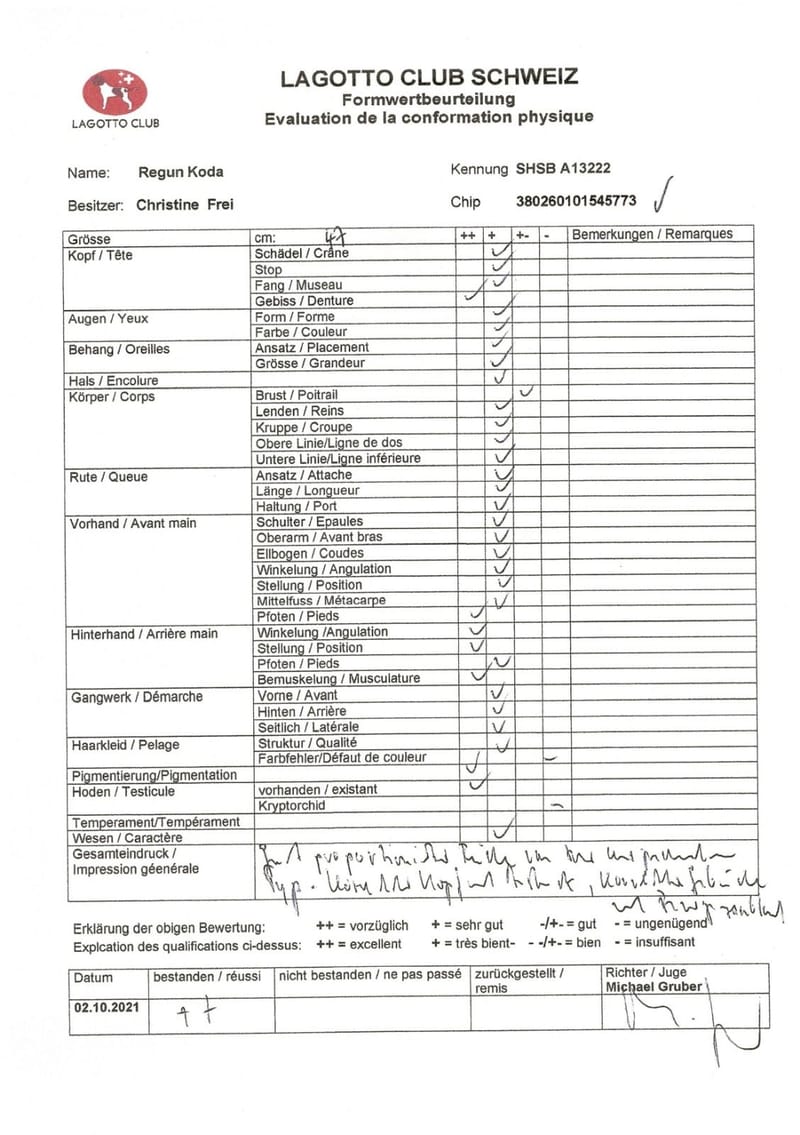 Unterlagen Ankören und Gesundheitsdokumente