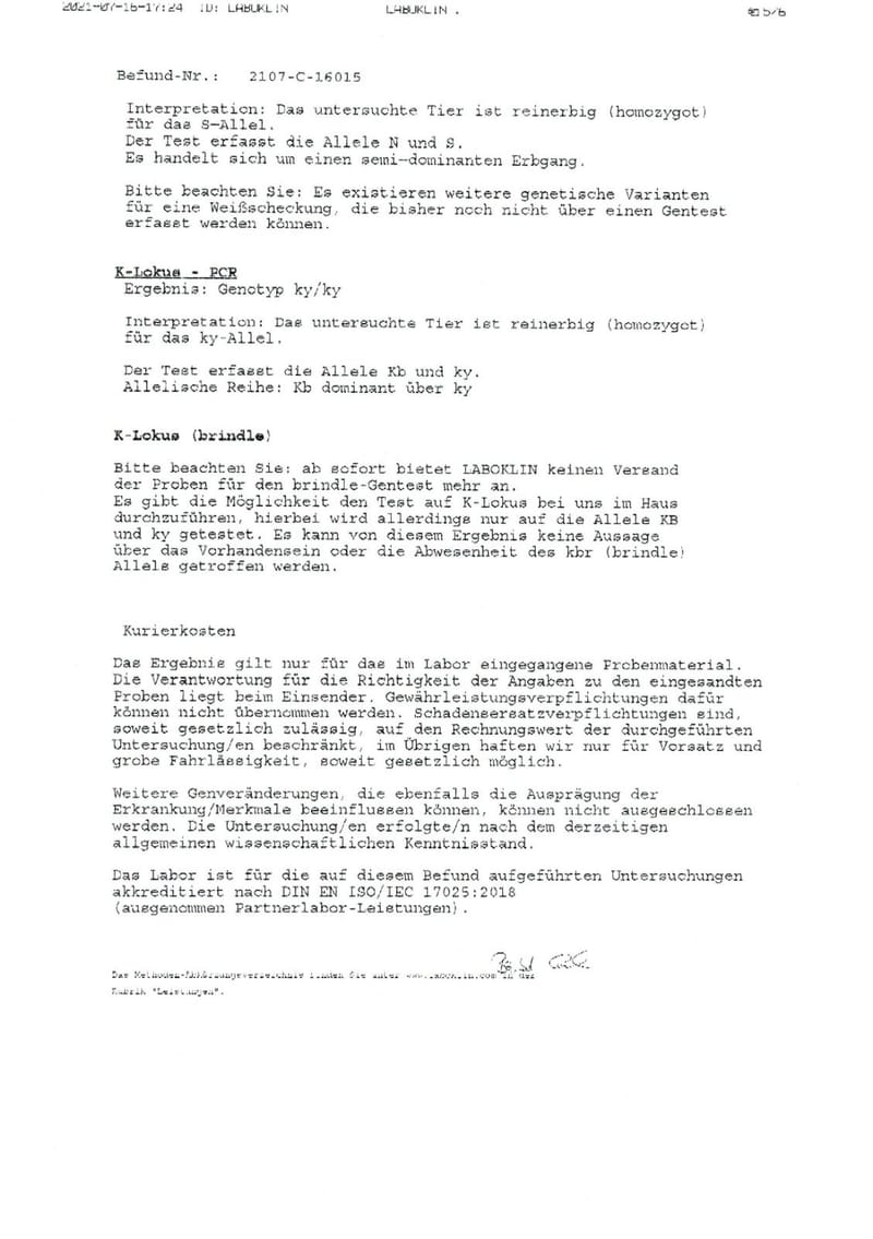 Unterlagen Ankören und Gesundheitsdokumente