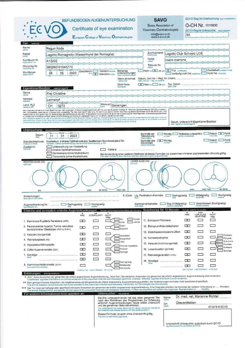 Unterlagen Ankören und Gesundheitsdokumente