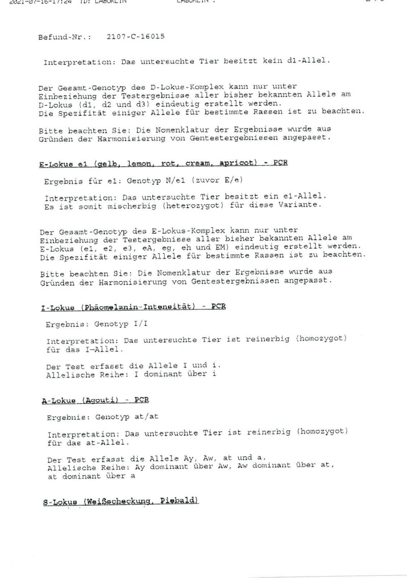 Unterlagen Ankören und Gesundheitsdokumente