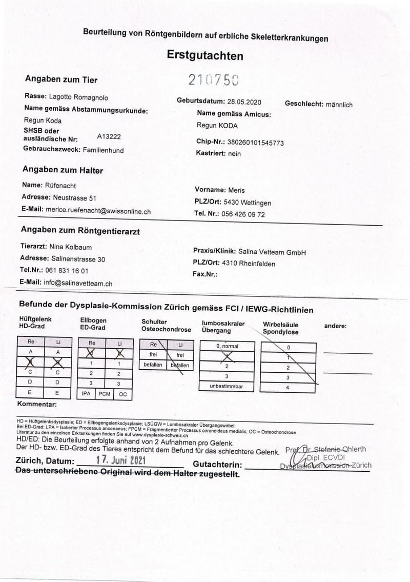 Unterlagen Ankören und Gesundheitsdokumente