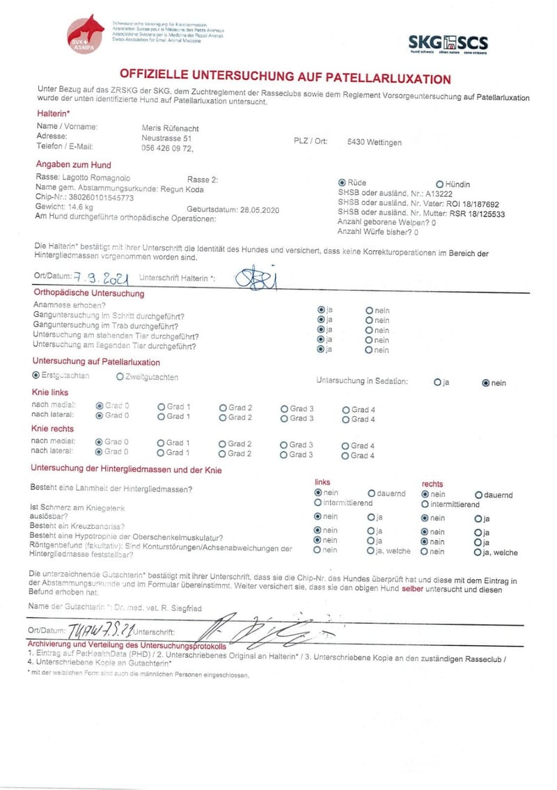 Unterlagen Ankören und Gesundheitsdokumente