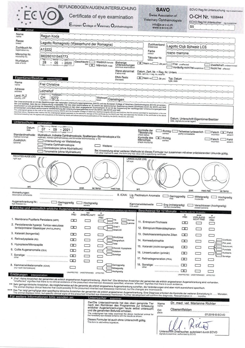 Unterlagen Ankören und Gesundheitsdokumente