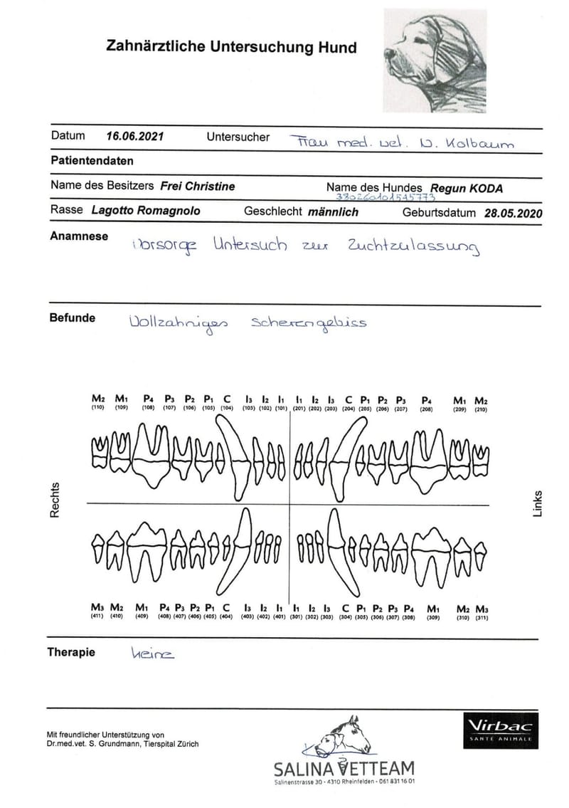 Unterlagen Ankören und Gesundheitsdokumente