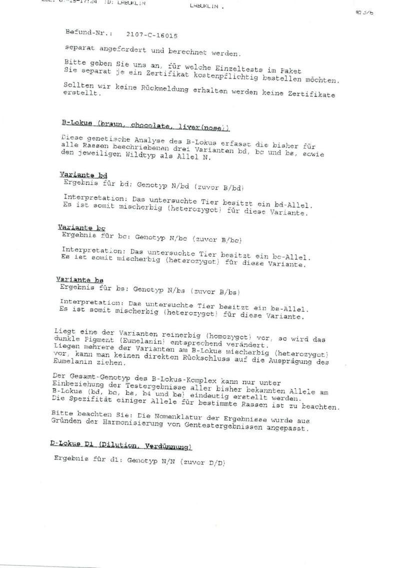 Unterlagen Ankören und Gesundheitsdokumente