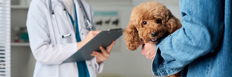 Medical affairs &amp; Scientific support