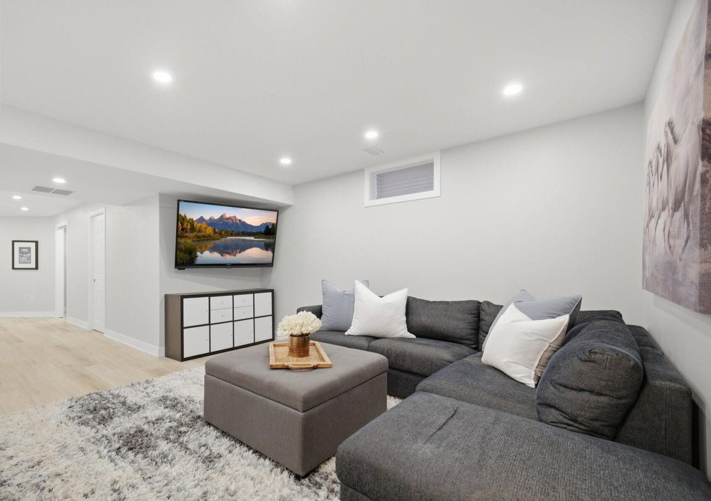 Basement Remodelling