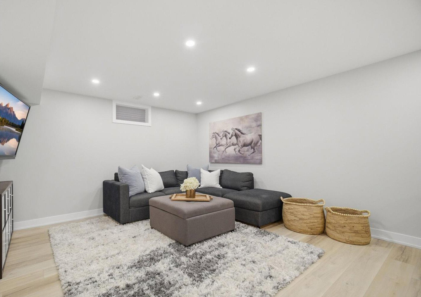 Basement Remodelling