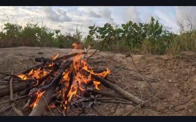 Multi-day hikes and birding